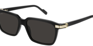 Suncane naocare CARTIER Muske CT0220S 001 55
